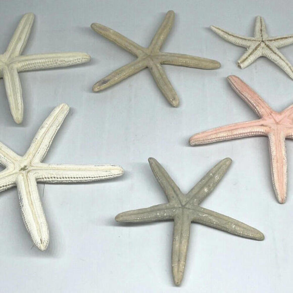 Natural Dried Starfish‎ Multicolor Nautical Decor LOT of 6 Pieces - Picture 2 of 8